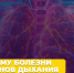 Почему болезни органов дыхания — серьёзная проблема 1 - Медицинский колледж