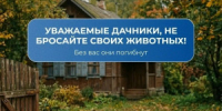 Самарцев призывают не бросать животных на дачах - НИА Самара