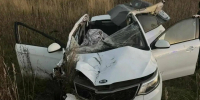 В РТ водитель KIA устроил смертельное ДТП при столкновении с лосем - Комсомольская правда Казань