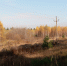 Различные классы пожароопасности установились в нижегородских лесах - Время Н