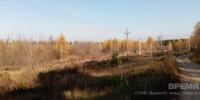 Различные классы пожароопасности установились в нижегородских лесах - Время Н
