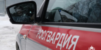 Курского росгвардейца представят к награде - Курская правда