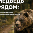 Что делать при встрече с диким животным - Красночикойский район