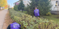 Чистый посёлок начинается с нас! - Устьянский индустриальный техникум