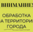 Внимание! В Новороссийске будут проводиться работы по уничтожению мраморного клопа - Город-герой Новороcсийск