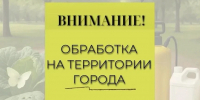 Внимание! В Новороссийске будут проводиться работы по уничтожению мраморного клопа - Город-герой Новороcсийск