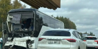 На трассе М8 в Ярославской области столкнулись два автобуса с пассажирами: есть пострадавший - Ярославский регион
