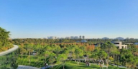 Кубань за 10 лет увеличила число виноделен для туристов в семь раз - KrasnodarMedia