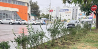 Осенью в Астрахани планируют высадить полторы тысячи кустарников - Bloknot-Astrakhan.Ru