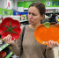 Какую новинку лучше брать в Fix Price — тыквенную или помидорную: умники расхватывают лишь эти тарелочки - PRO Город Владимир