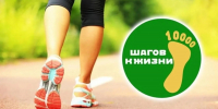 Вологжане вновь могут пройти 10 тыс. шагов к жизни - Вологда.РФ