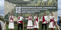 В Ленинградской области высадили более 266 тысяч хвойных сеянцев в рамках акции «Сохраним лес» - Spbdnevnik.ru