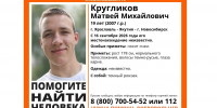 Волонтеры ищут пропавшего 10 дней назад в Ярославской области молодого человека - Ярославский регион