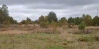 Хищник в Шаховском округе: в д. Канаево зверь загрыз трёх баранов и перепрыгнул метровое ограждение - Chehov-Vid.Ru
