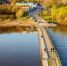 Kaluga-poisk.ru - Kaluga-Poisk.Ru