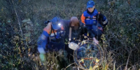 Под Назией женщина дождалась спасателей по колена в болоте - 47 новостей