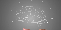 IQ ПФО: студенты Университета «МИР» — призёры интеллектуальной олимпиады - Международный институт рынка