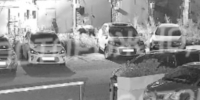 Медведя заметили во дворе жилого комплекса в Кемерово - Вечерняя Москва