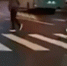 В Петербурге привлекли к ответственности автоледи за езду по пешеходному переходу - ГТРК Санкт-Петербург