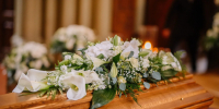 Фото: shulers/Shutterstock/Fotodom - Ямал-Медиа