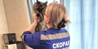 . - Лангепасская ГБ