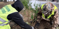 Какие общественные пространства озеленят этой осенью в Астрахани - Сетевое издание Арбуз