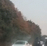 Такси сбило мотоциклиста в день закрытия мотосезона в Туле - ИА Тульские новости