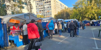 Субботнюю ярмарку в Барнауле посетили более 11 тысяч горожан - Администрация г. Барнаул