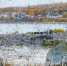 Погода на рабочую неделю в Магадане - MagadanMedia.Ru