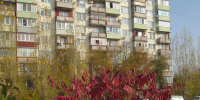 Сколько в Камышине продлится «бабье лето» - Инфокам