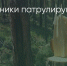 Поделитья во ВКонтакте - Братская Студия Телевидения
