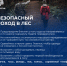 Безопасный поход в лес: простые правила, которые могут спасти жизнь - МЧС России