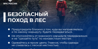 Безопасный поход в лес: простые правила, которые могут спасти жизнь - МЧС России