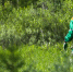 Фото: Фёдор Воронов/«Ямал-Медиа» - Ямал-Медиа