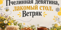 Познавательная программа «Пчелиная девятина, лакомый стол. Ветряк» - Балаковские вести