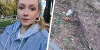 «Чуть не сбил ребенка»: ставропольчанка пожаловалась на доставщика на самокате - Bloknot-Stavropol.Ru