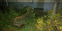 Фото: СК РФ по АО и НАО - News29.Ru