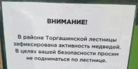 Из-за медведей закрыли самую длинную в России лестницу в Красноярске - Baikal24.Ru