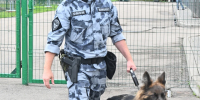 Взрыв с погибшими и нападение на подростка: сводка по Якутии - Комсомольская Правда