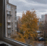 В Шилово несколько улиц остались без электричества - Bloknot-Voronezh.Ru