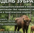 Зубр возвращается в леса Башкортостана - Минэкологии РБ