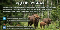 Зубр возвращается в леса Башкортостана - Минэкологии РБ
