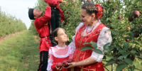 С днем рождения, любимый Ейский район! - Приазовские степи