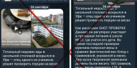 В Башкирии ответили фактчекингом на скандал из-за тарелки запеканки - Сетевое издание Республика Башкортостан