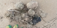 На побережье Черного моря выбросило жирные шары - ОКА-ФМ