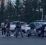 В Уфе возбудили дело после нападения на сотрудников Росгвардии - Комсомольская правда