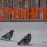 В Нерюнгри устранят недостатки благоустройства сквера - Якутское-Cаха ИА