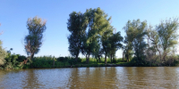 В Астраханскую область по особой просьбе стали пускать больше воды - Bloknot-Astrakhan.Ru