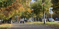 Когда в Москву и Подмосковье придёт ощутимое похолодание - ОКА-ФМ