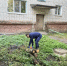 В Центральном округе Курска во время субботника вывезли 30 кубических метров мусора - Курская правда